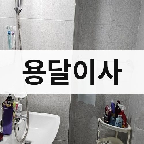 장흥군 용달이사 포장이사