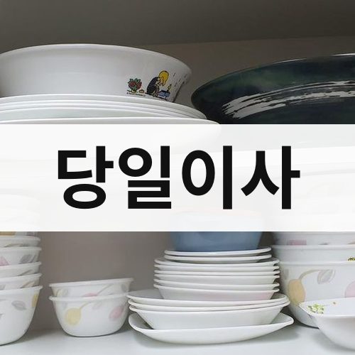함안군 당일이사 포장이사