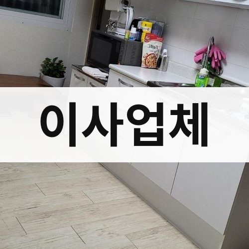 함안군 이사업체 포장이사